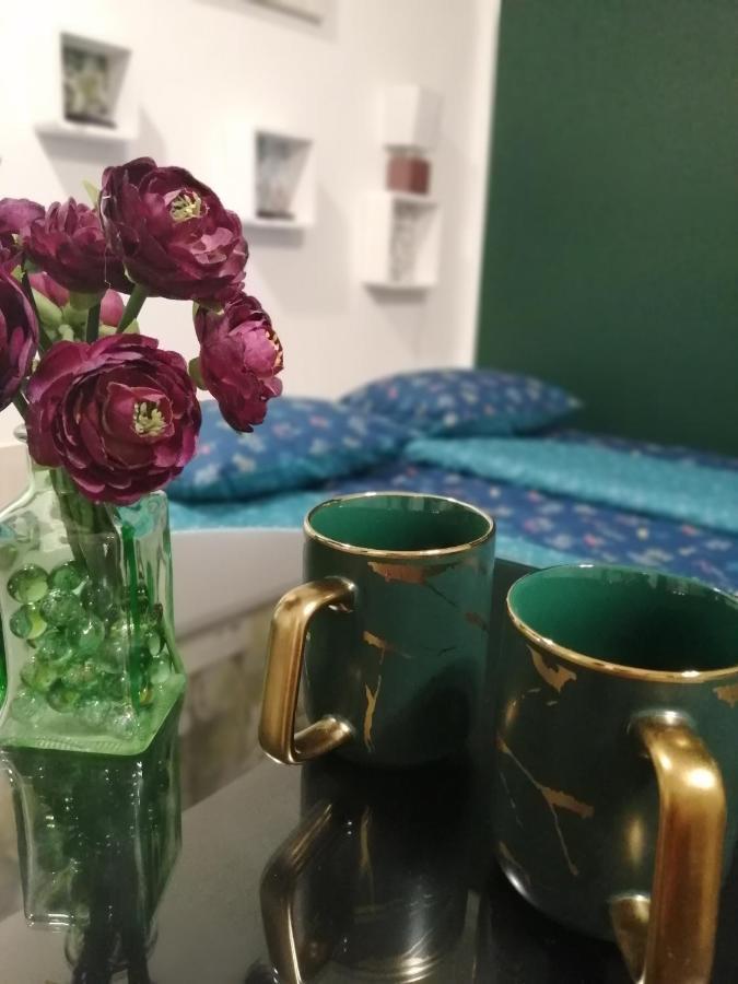 Hanna Apartman セゲド エクステリア 写真